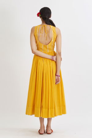YELLOW RUPALI ANARKAL